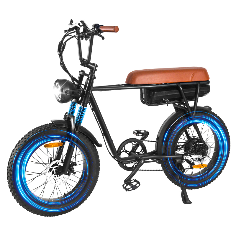 Fat tyre Ebike for commuting and touring: